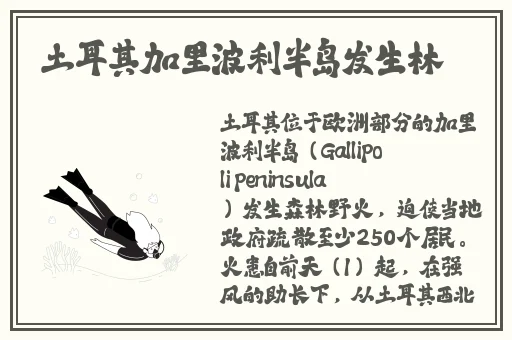 老师穿黑色**叉真丝旗袍